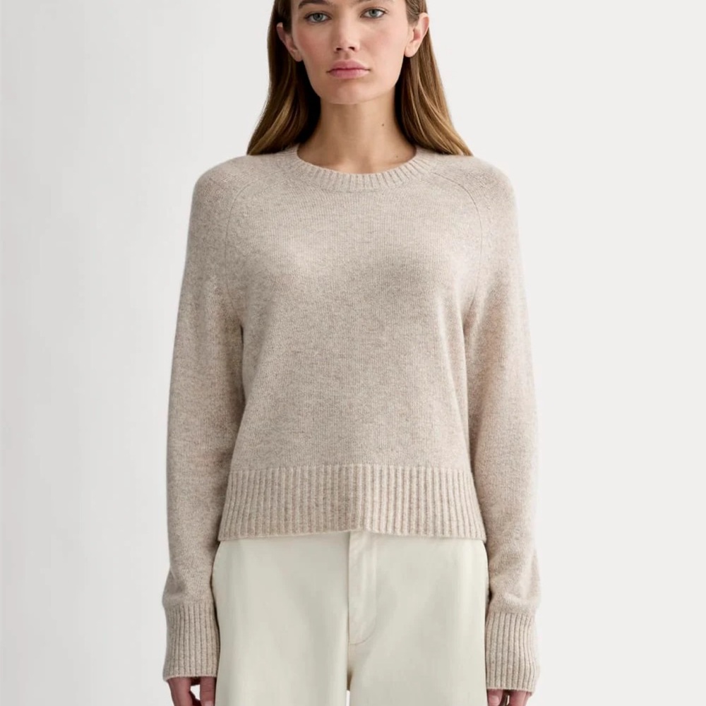 NWT EverlaneThe Boxy Crew in Cashmere canvas Sz M
